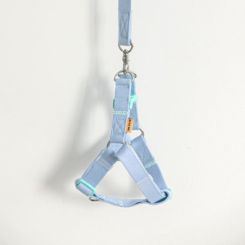 pastel blue dog harness