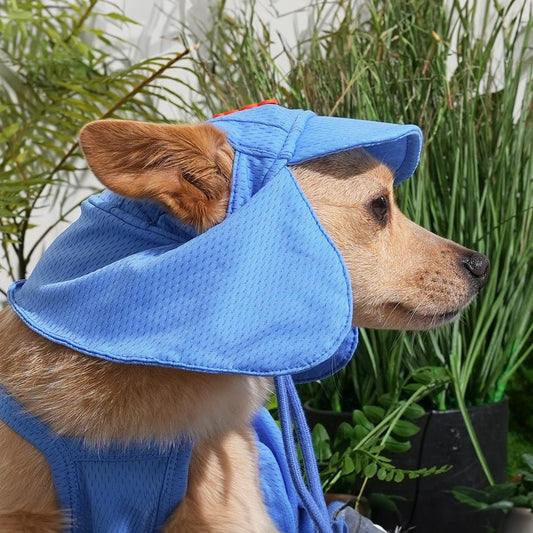 Dog summer cooling hats model