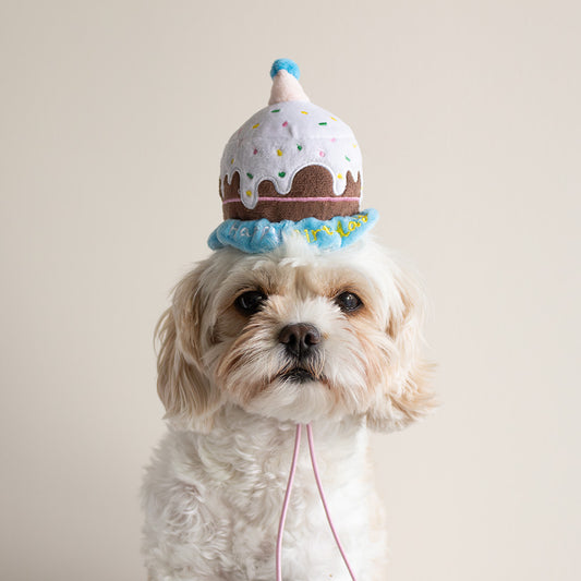 Dog birthday party hat, dog plush toy, dog squeaker toy, dog birthday cake, front 