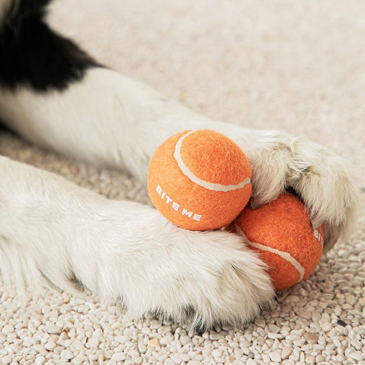 Mini Tennis Ball (set of 3)